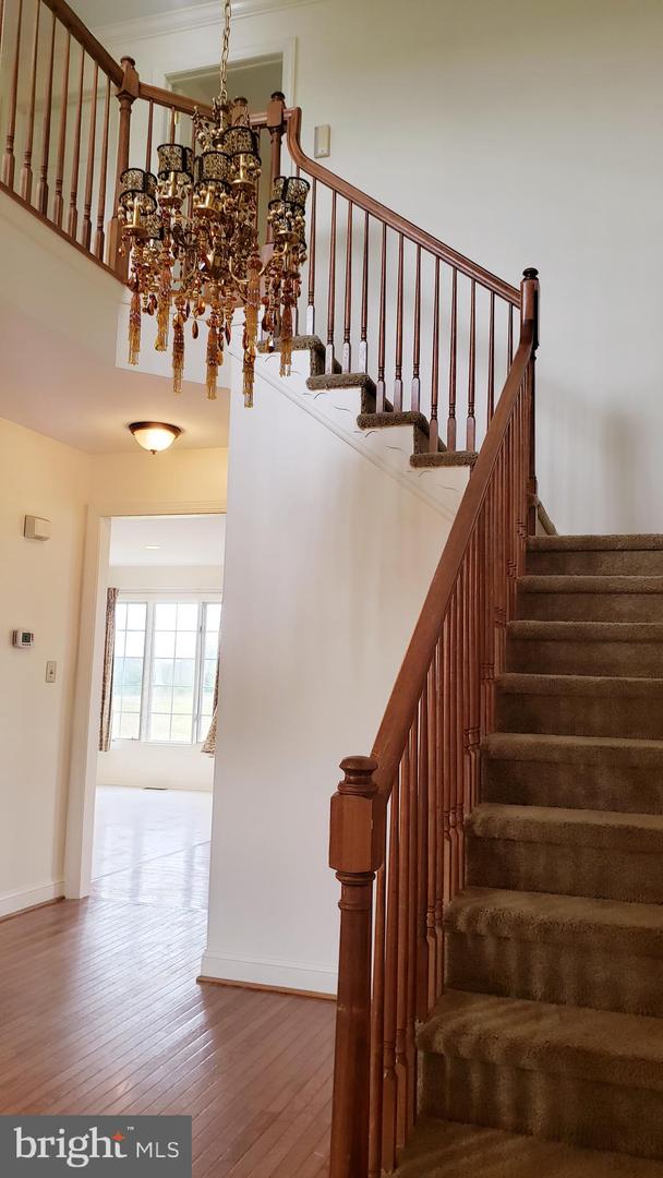 14 Hayworth Cir Property Photo 13