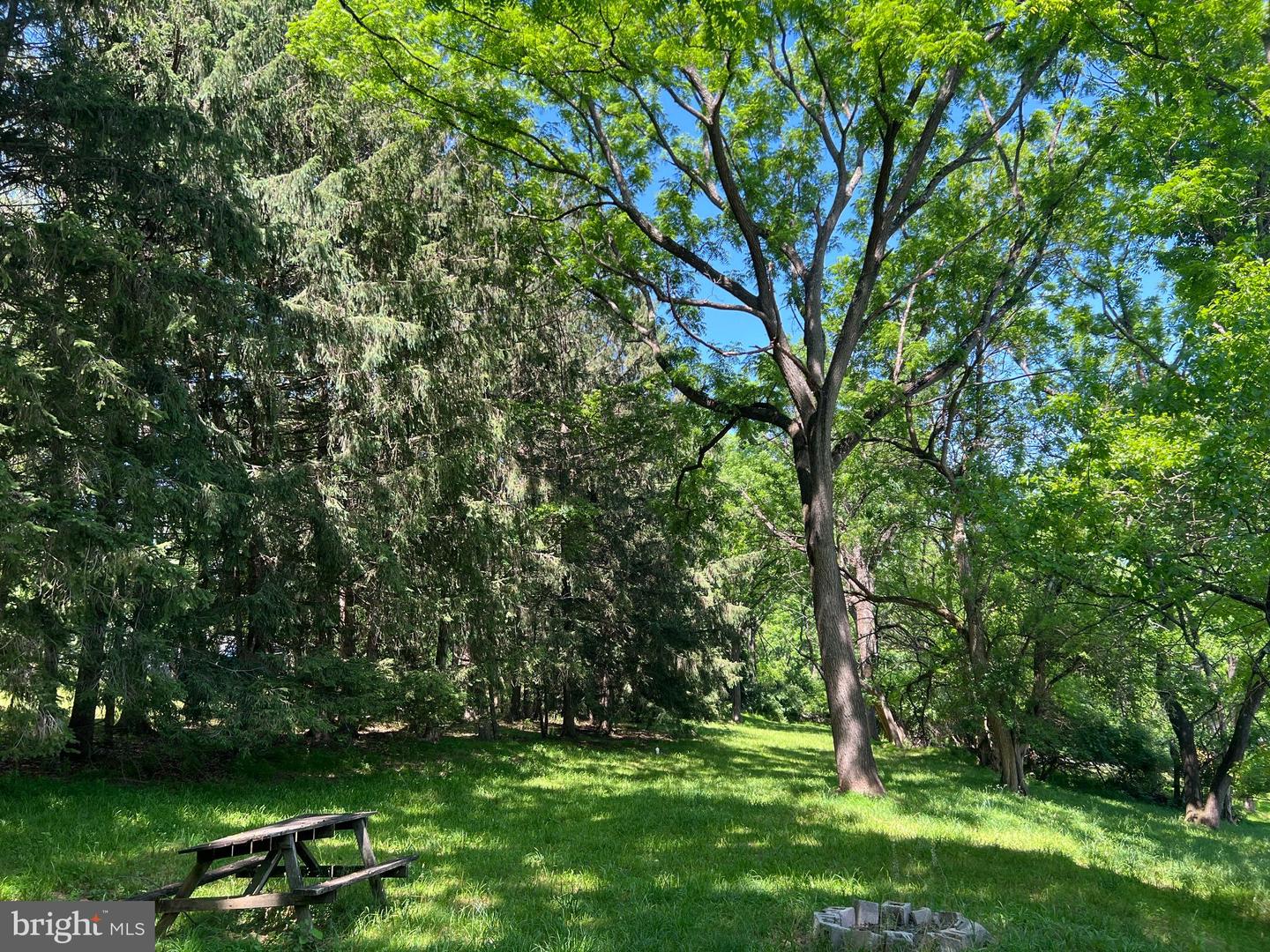 1213 Martlet Rise Property Photo 7