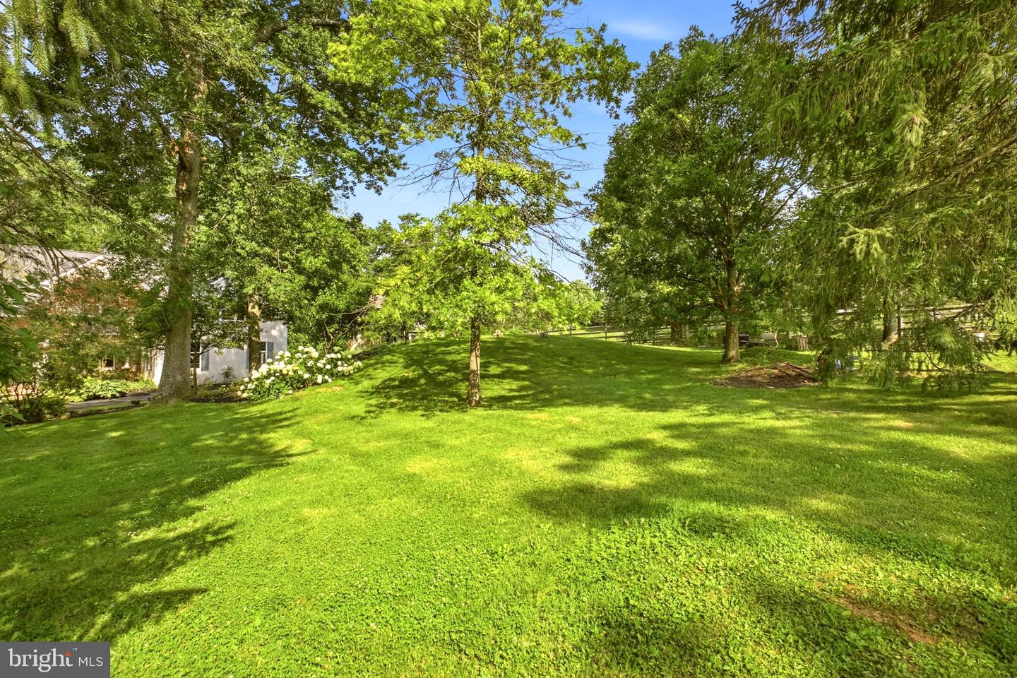 335 Ridley Creek Ln Property Photo 125