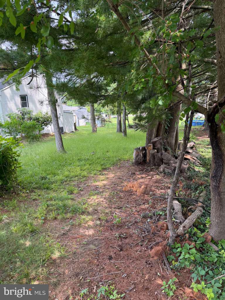 3145 Walnut St Property Photo 2