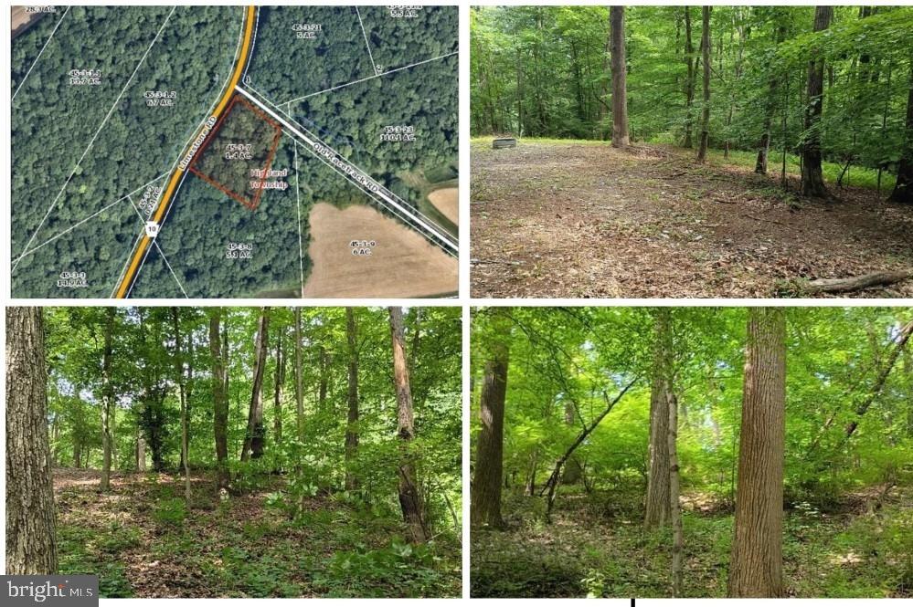 294 Old Racetrack Rd Property Photo 1