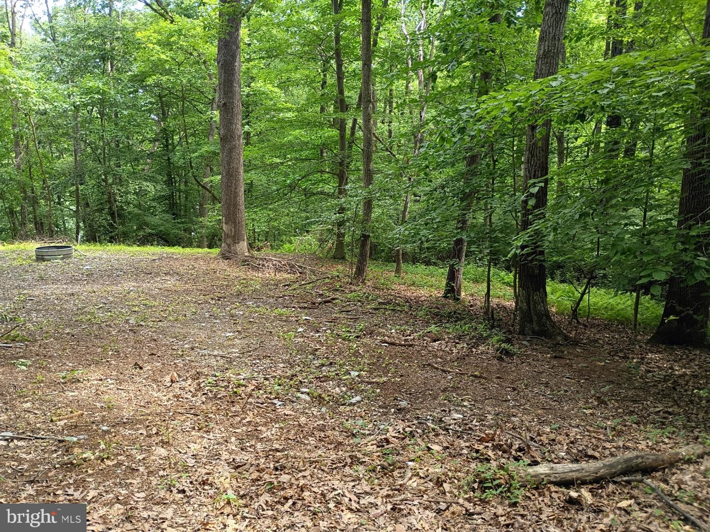 294 Old Racetrack Rd Property Photo 2