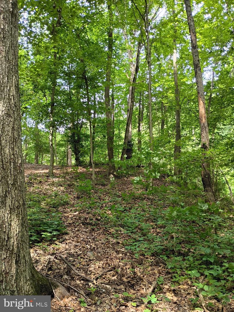 294 Old Racetrack Rd Property Photo 3