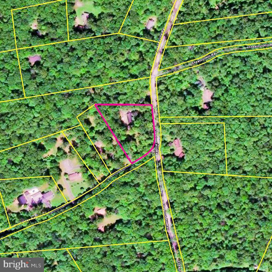 2253 Jones Rd Property Photo 6