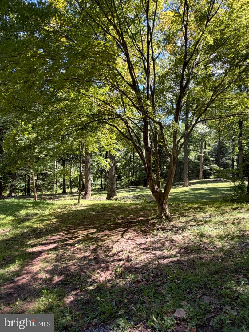2253 Jones Rd Property Photo 46