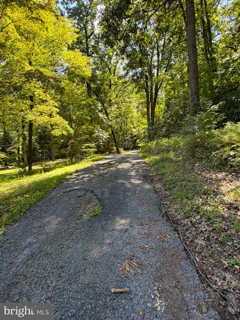 2253 Jones Rd Property Photo 47