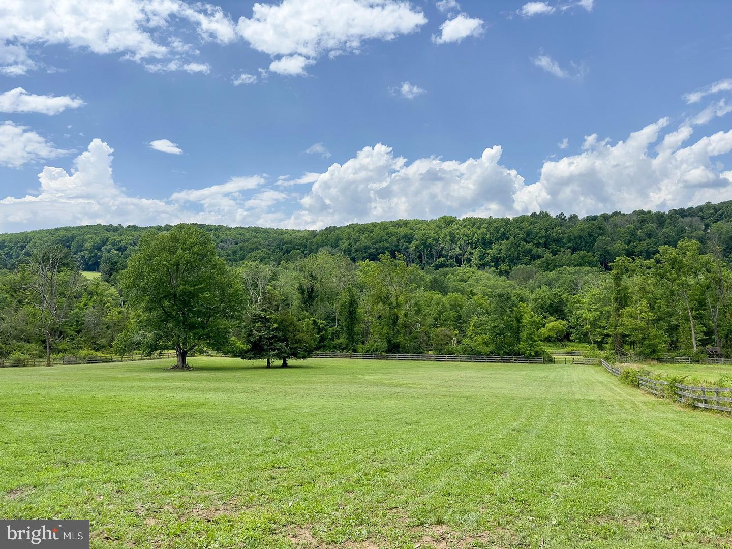 1550 Sheeder Mill Rd Property Photo 4