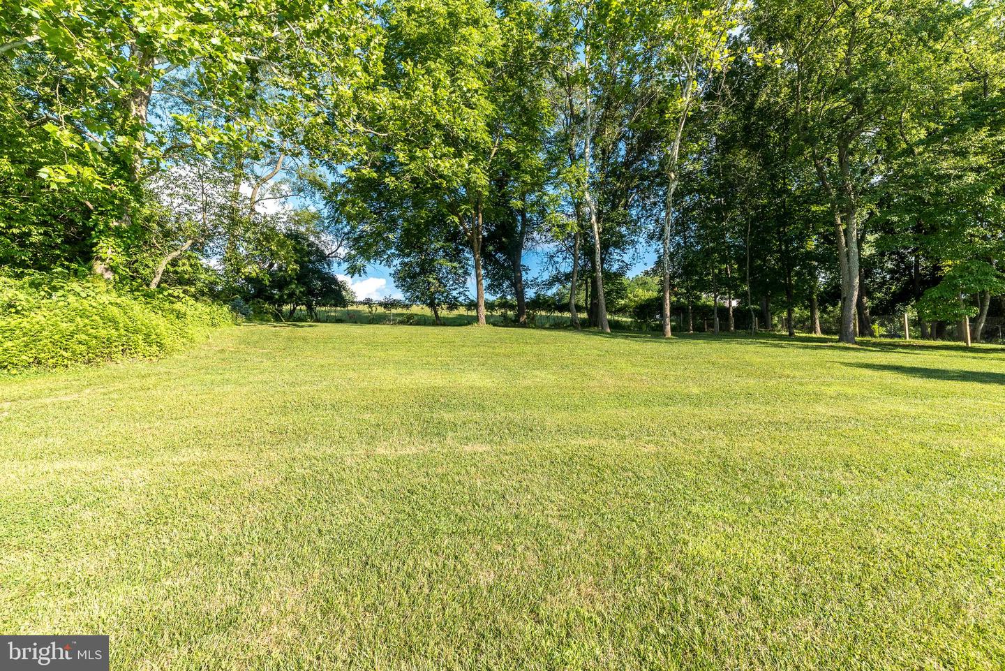 306 Liam Ln Property Photo 55