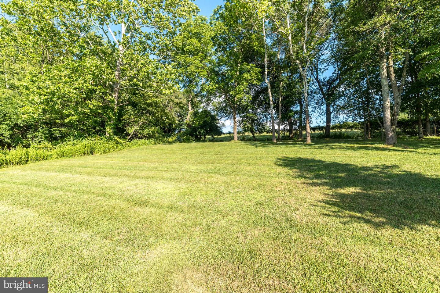 306 Liam Ln Property Photo 56