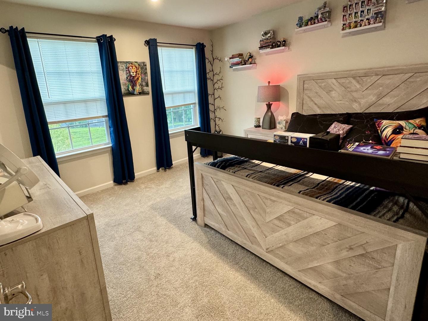 203 Braeburn Dr Property Photo 28