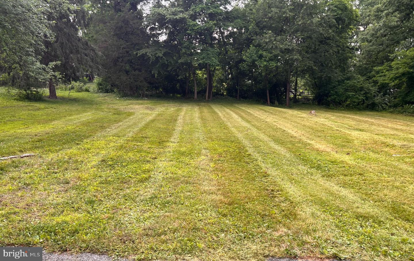 1315 Blackhorse Hill Rd Property Photo 1