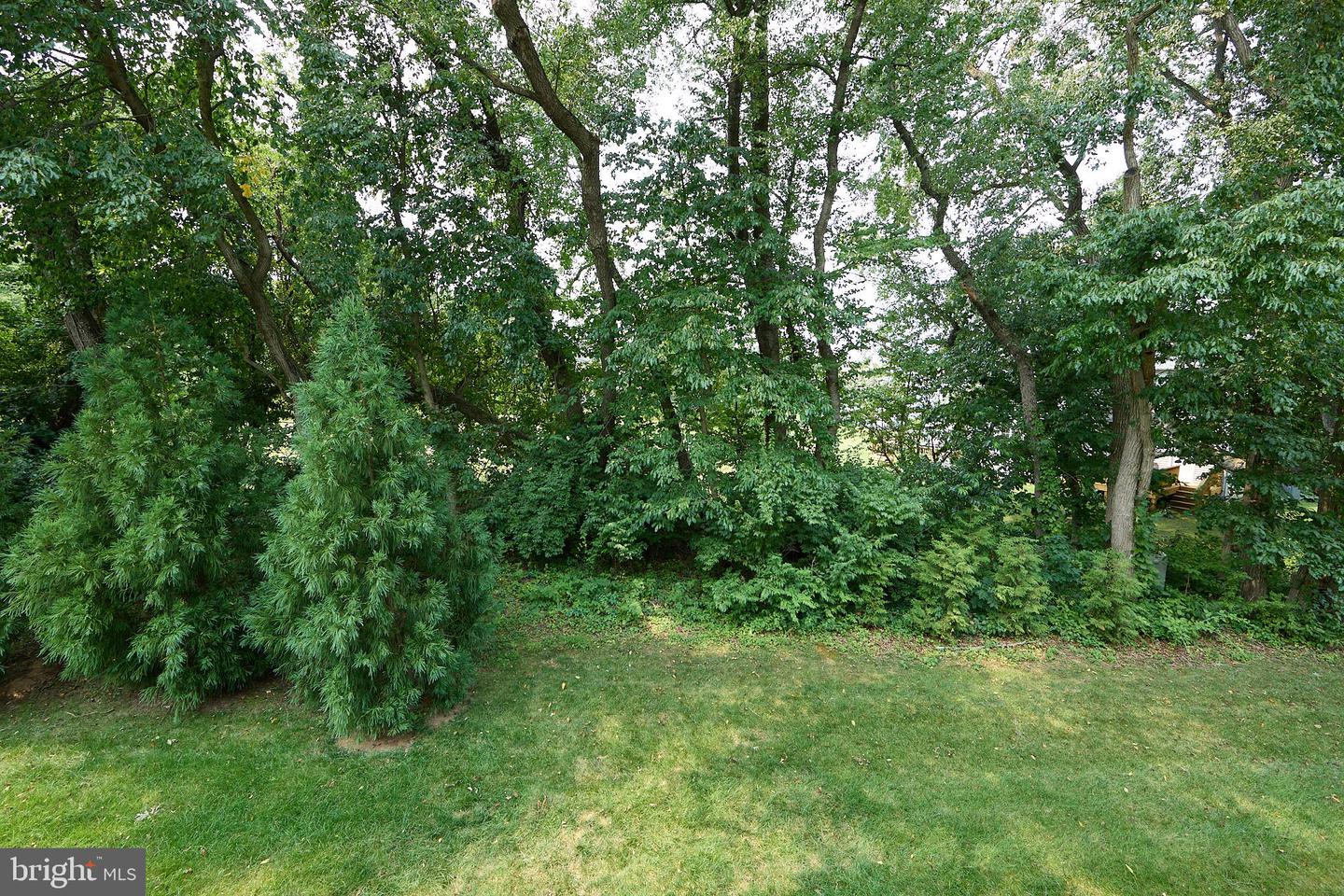 55 Lila Ln Property Photo 33