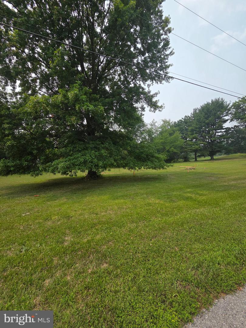 1023 Snyder Ave Property Photo 3