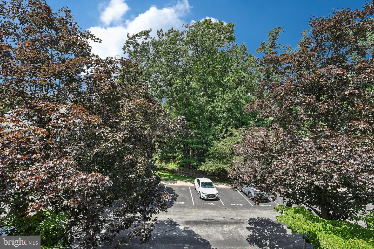 103 Brighton Cir Property Photo 37