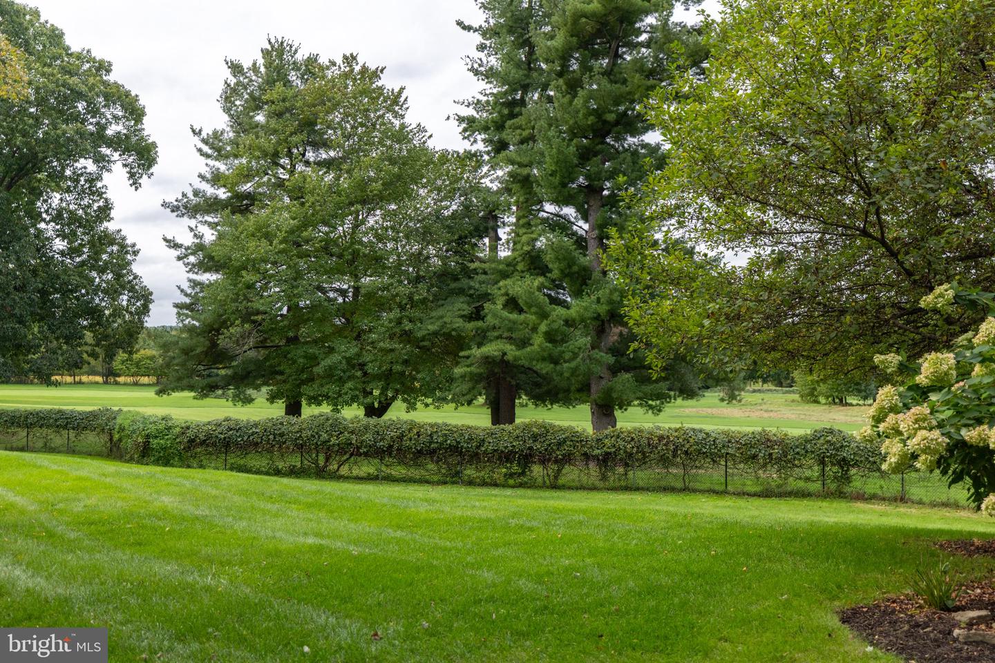 310 Newport Pl Property Photo 4