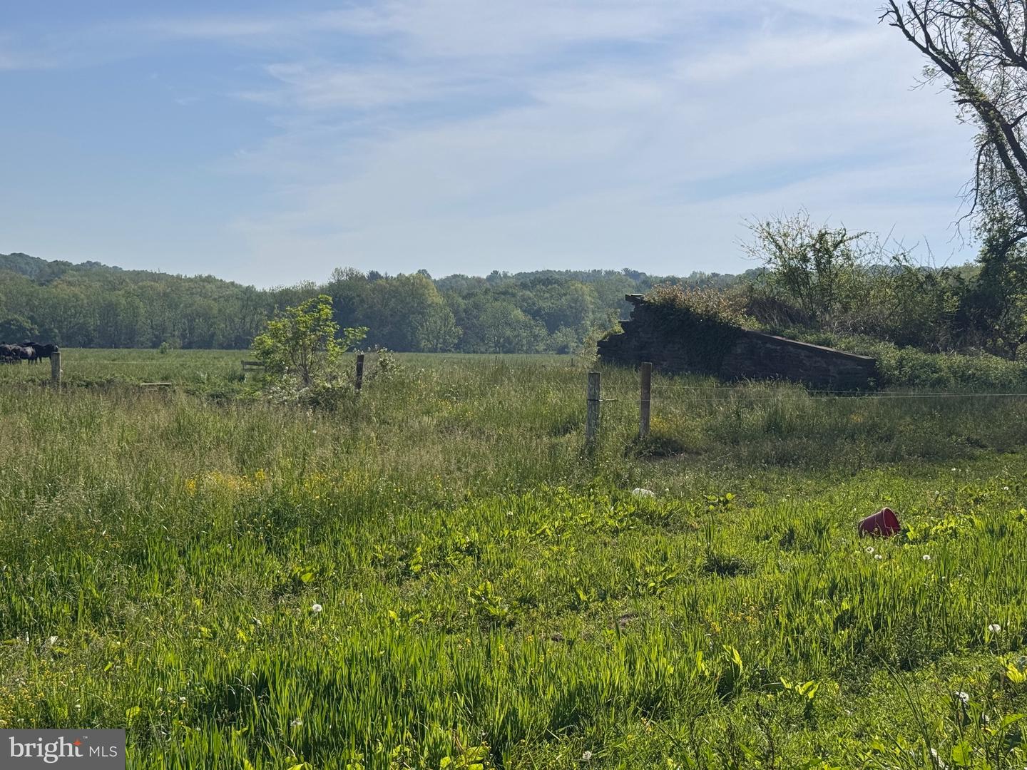 5112 Street Rd Property Photo 4