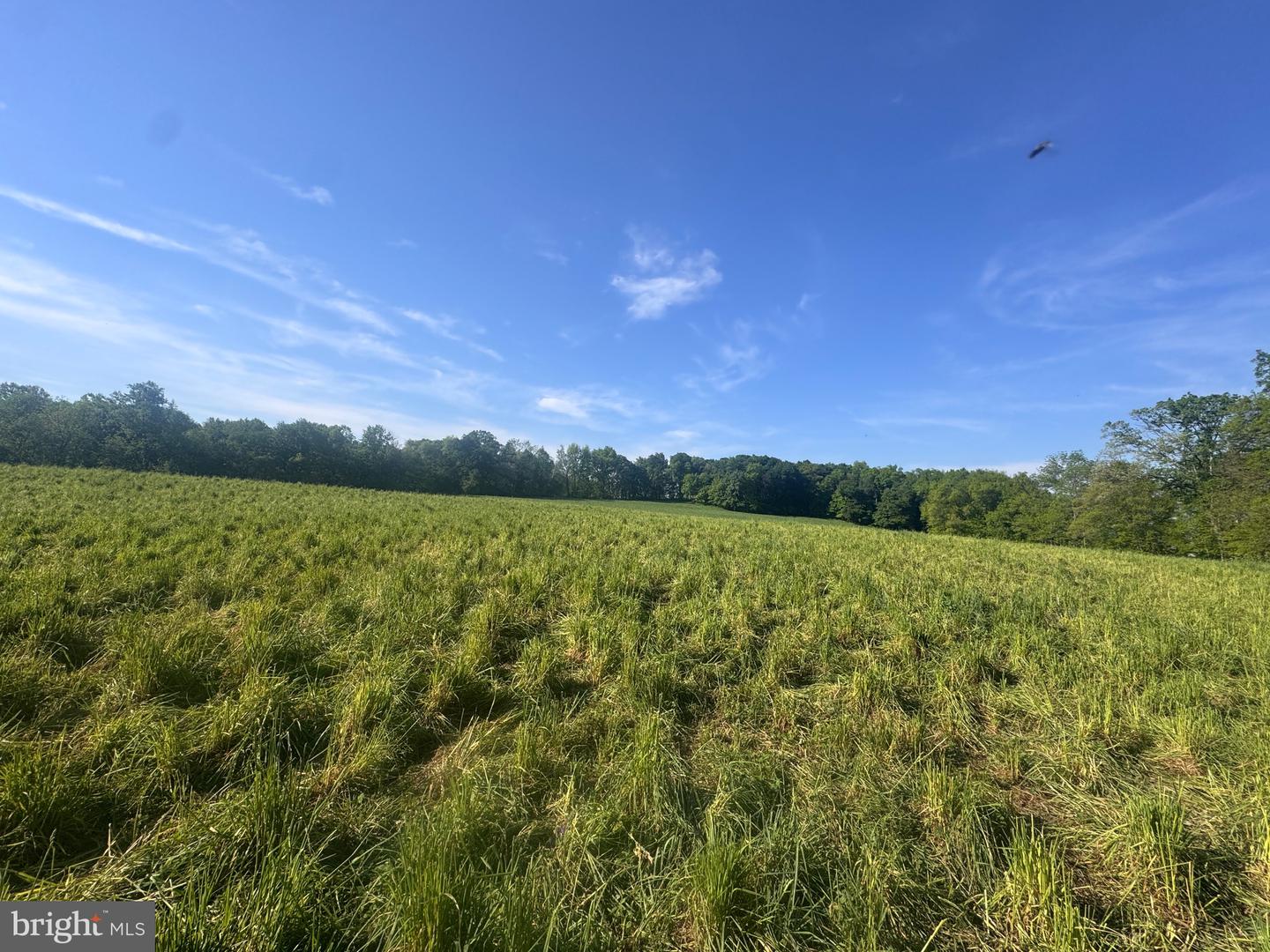 5112 Street Rd Property Photo 5