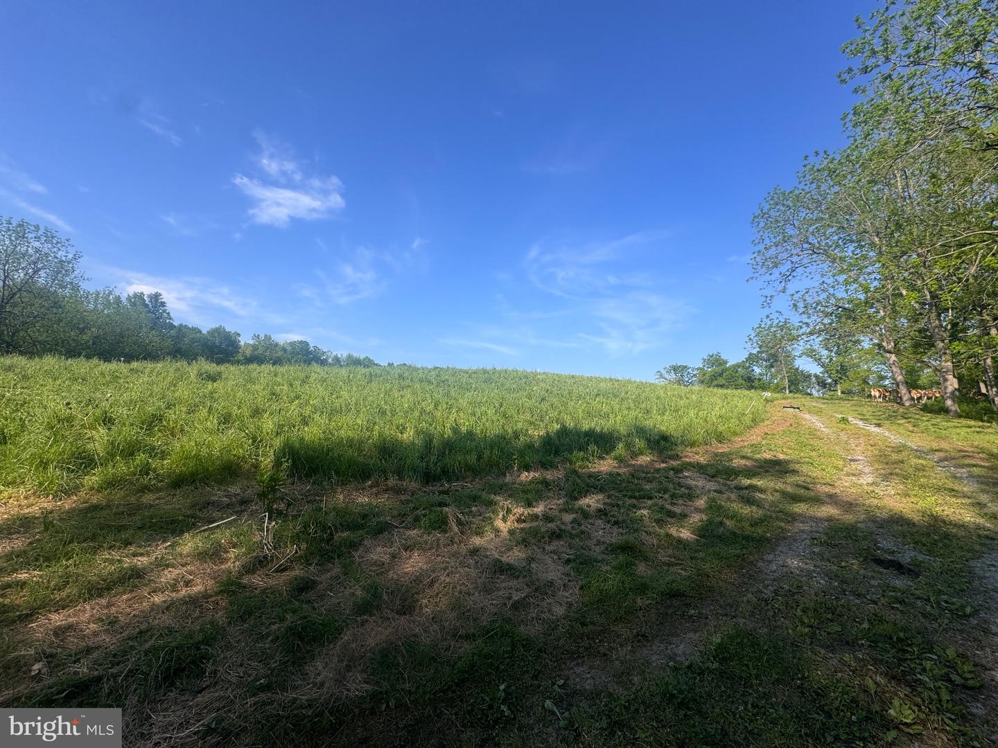5112 Street Rd Property Photo 10