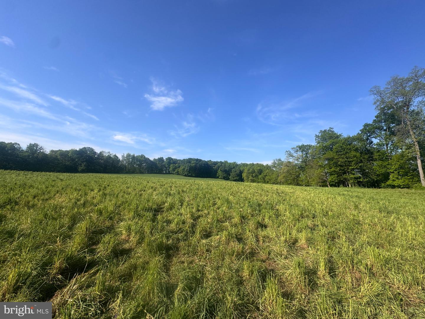 5112 Street Rd Property Photo 11