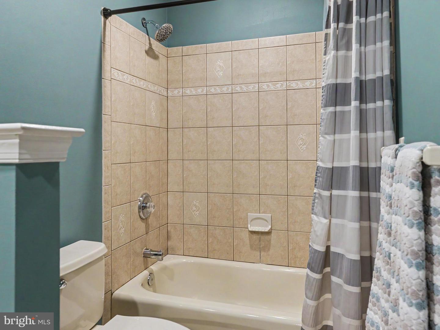 1021 Mulberry St Property Photo 66