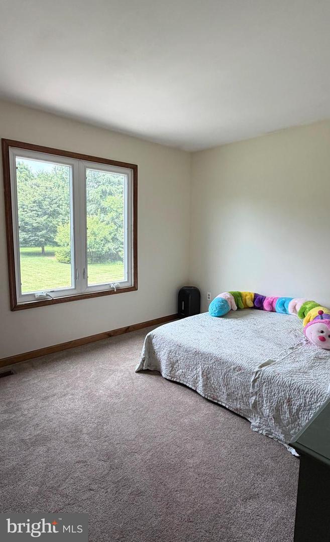 170 Lenora Ln Property Photo 24