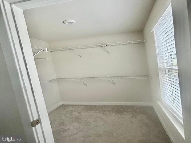 210 Chase Dr Property Photo 13