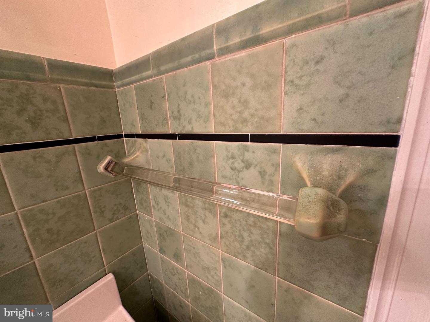 4813 Horseshoe Pike Property Photo 33