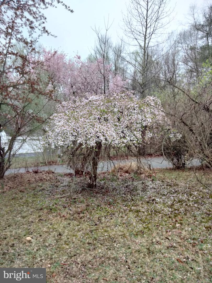 500 Reeds Rd Property Photo 37
