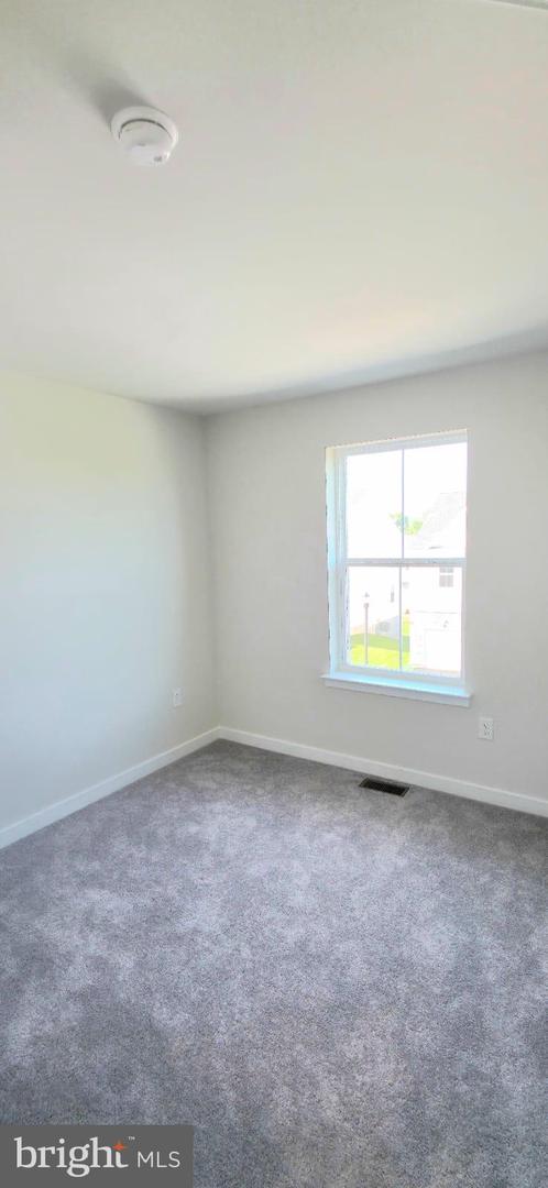 242 Talucci Dr Property Photo 21