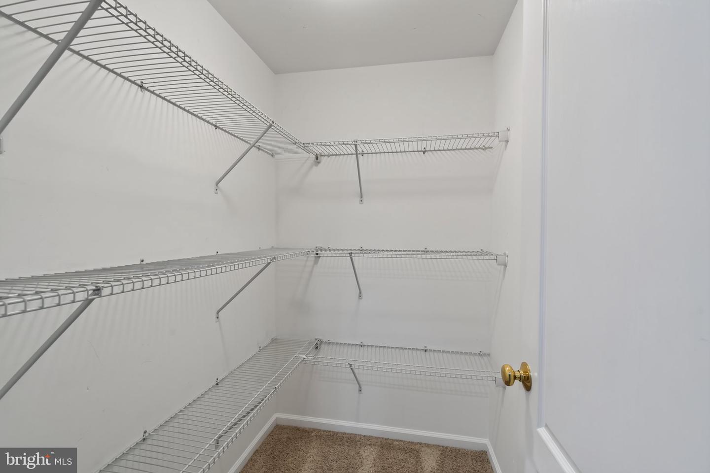 1420 Balmoral Rd Property Photo 48