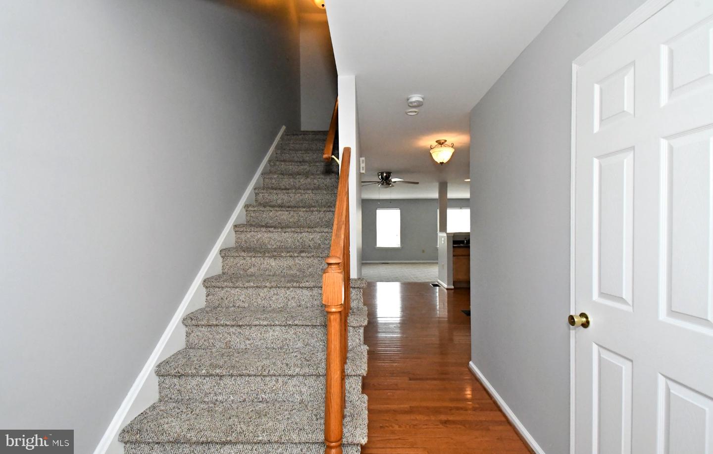 1028 Balley Dr Property Photo 5