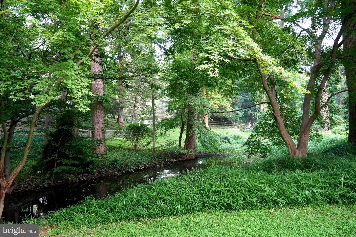 433 Homestead Rd Property Photo 43