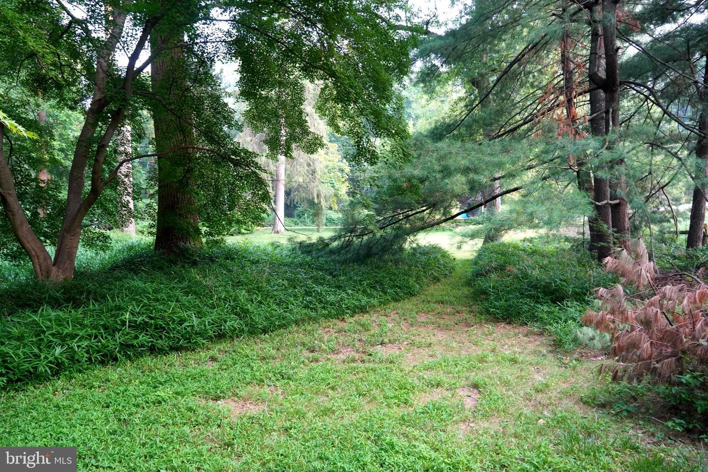 433 Homestead Rd Property Photo 45