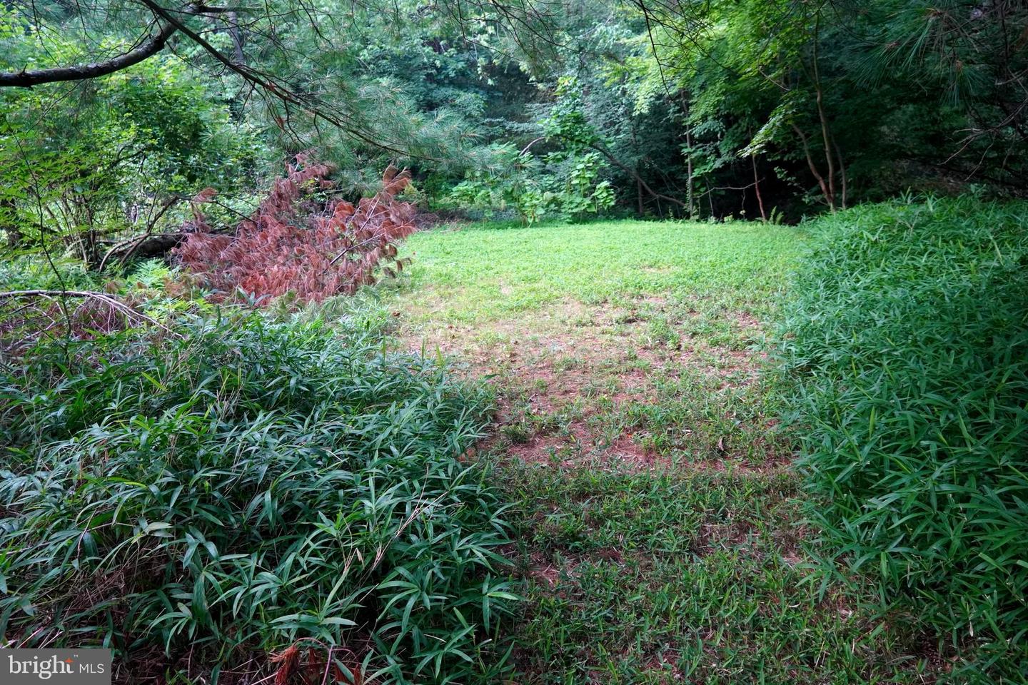 433 Homestead Rd Property Photo 46