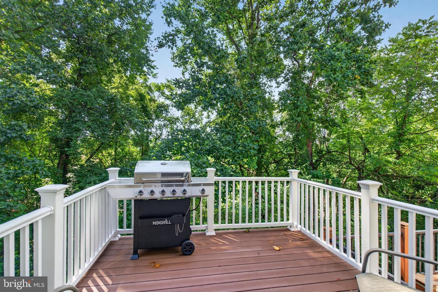 42 Pinckney Dr Property Photo 7