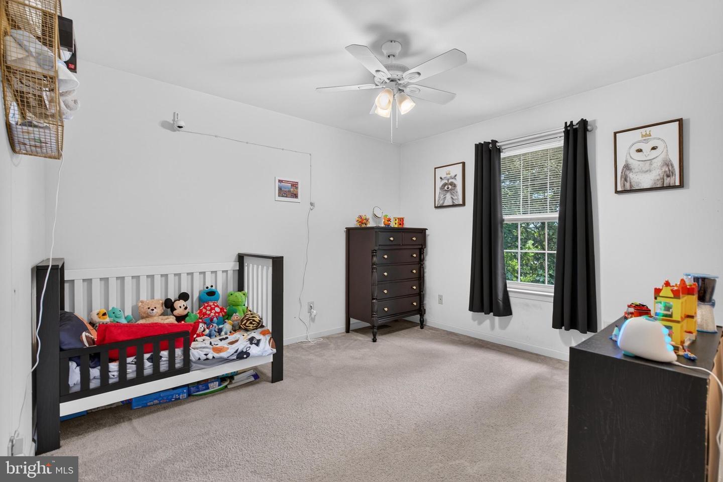 42 Pinckney Dr Property Photo 24