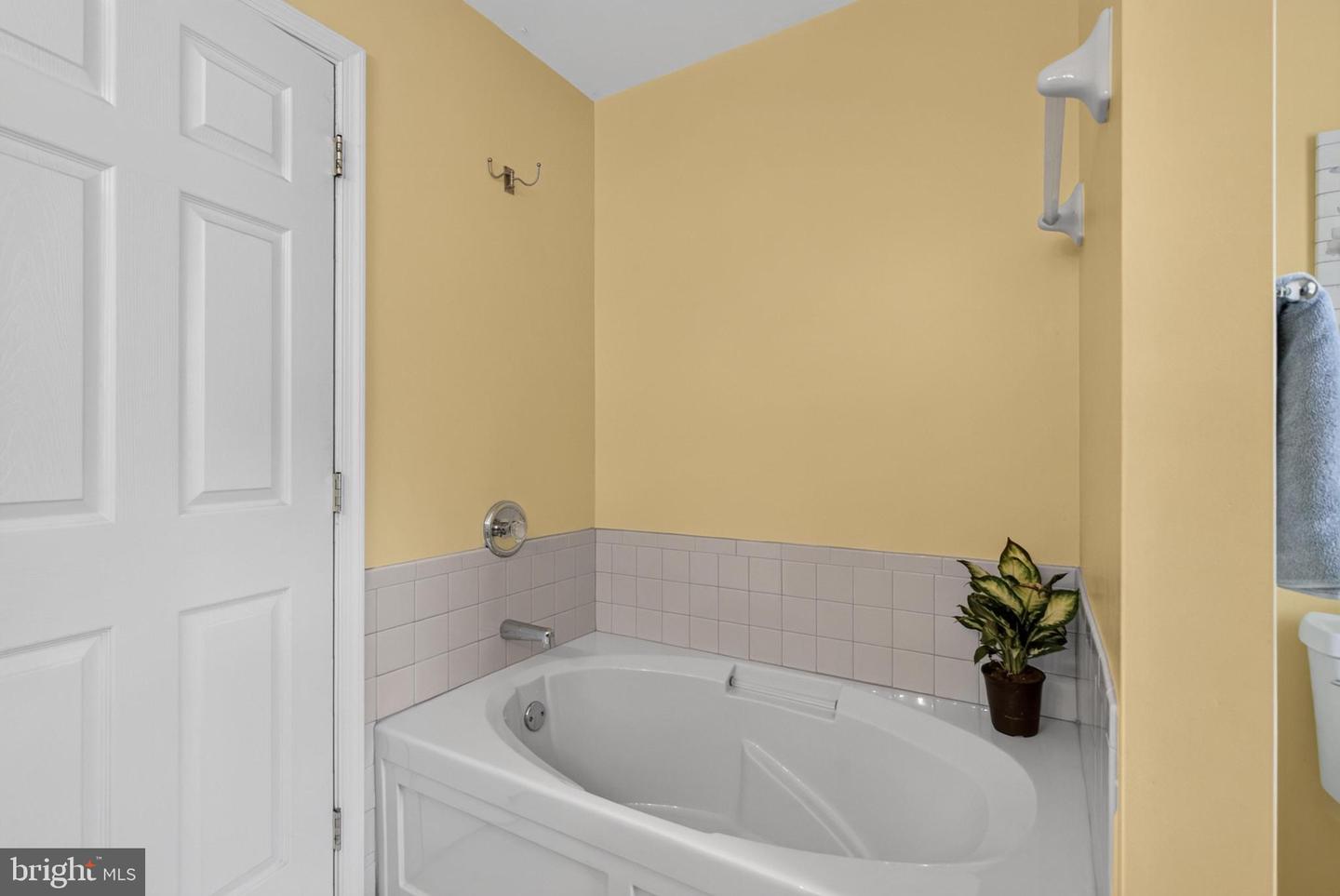 224 China Cir Property Photo 19