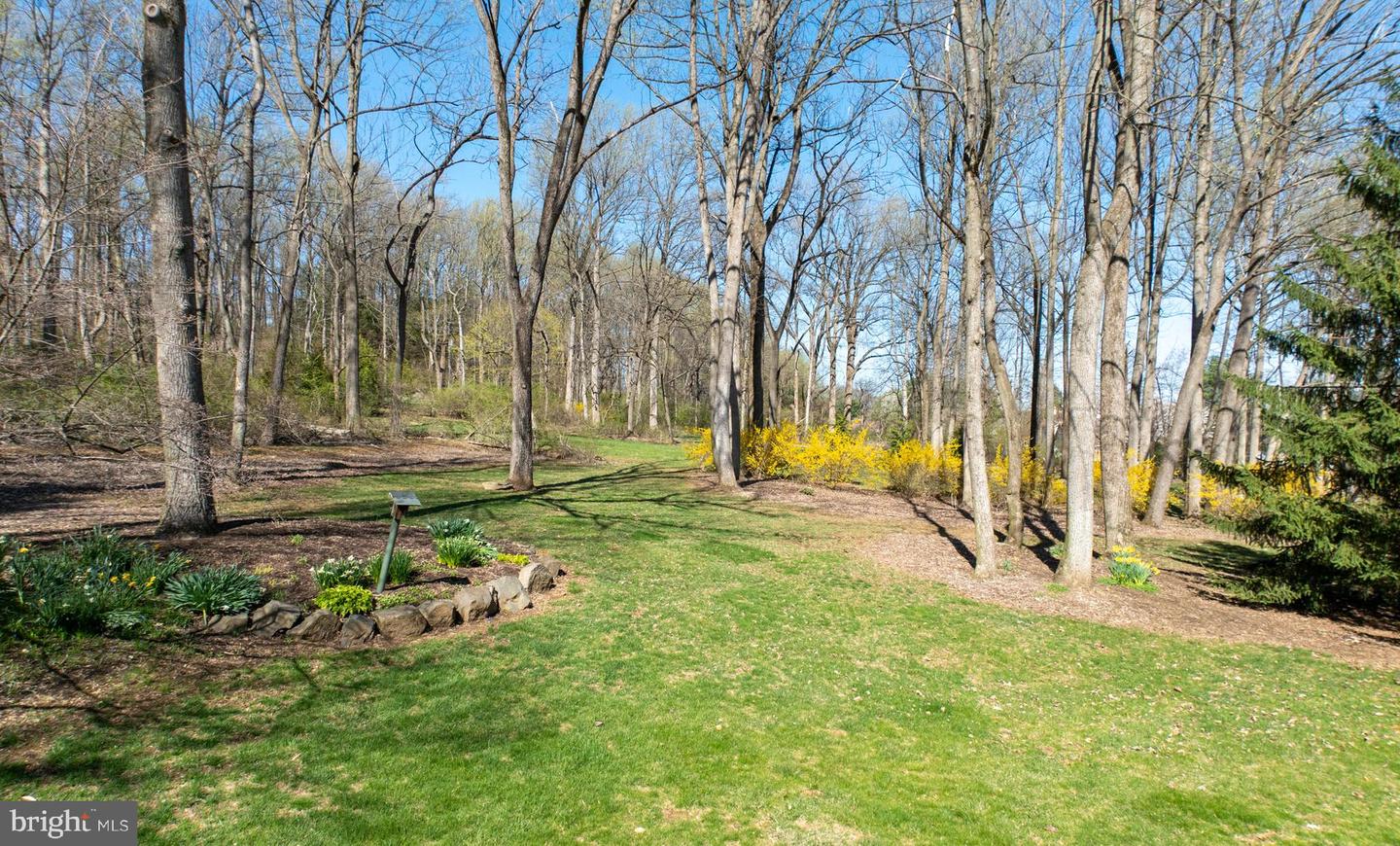 6 Forest Glen Dr Property Photo 41