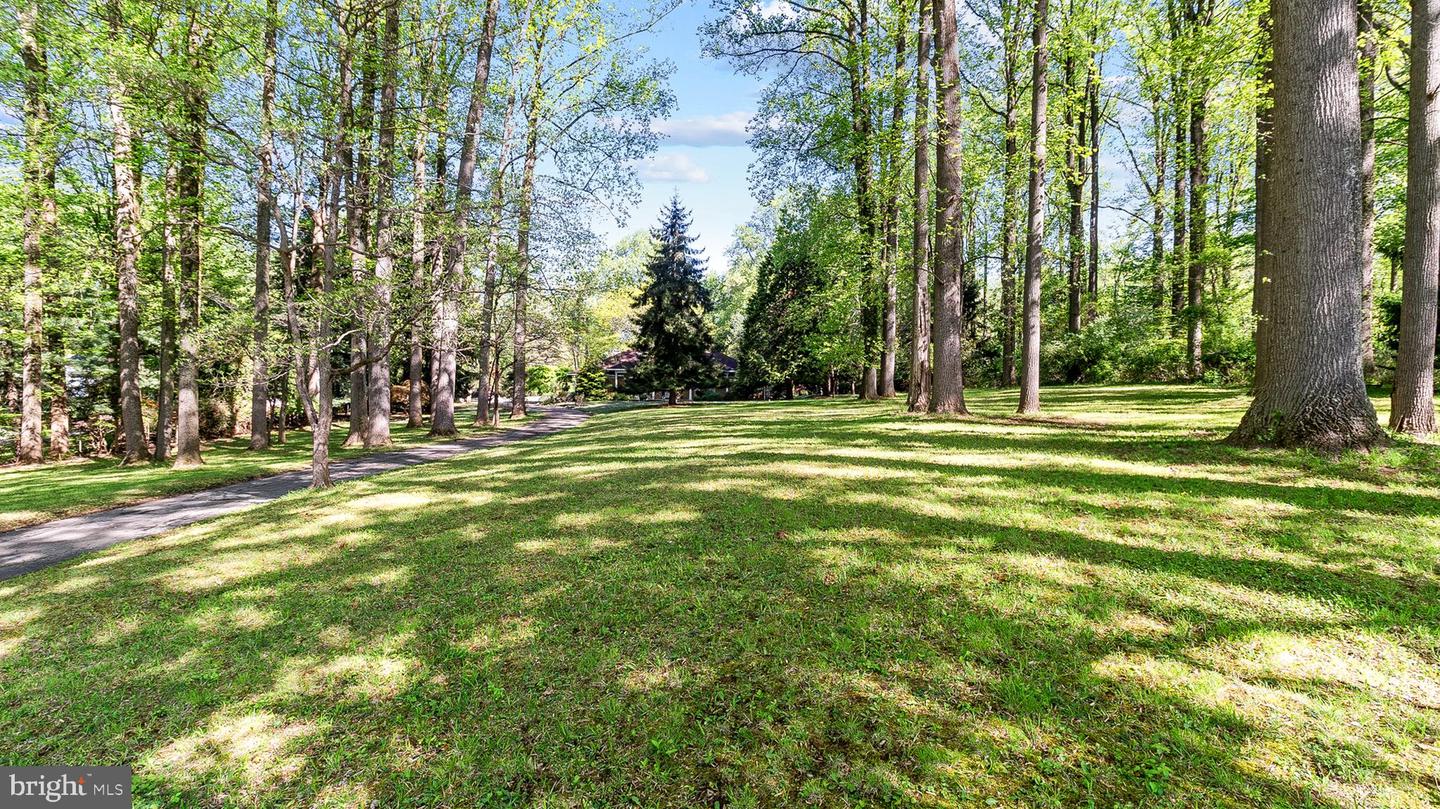 501 Webb Rd Property Photo 4
