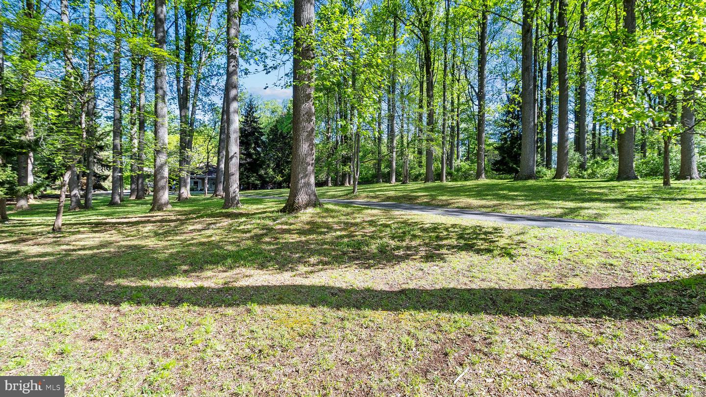 501 Webb Rd Property Photo 14