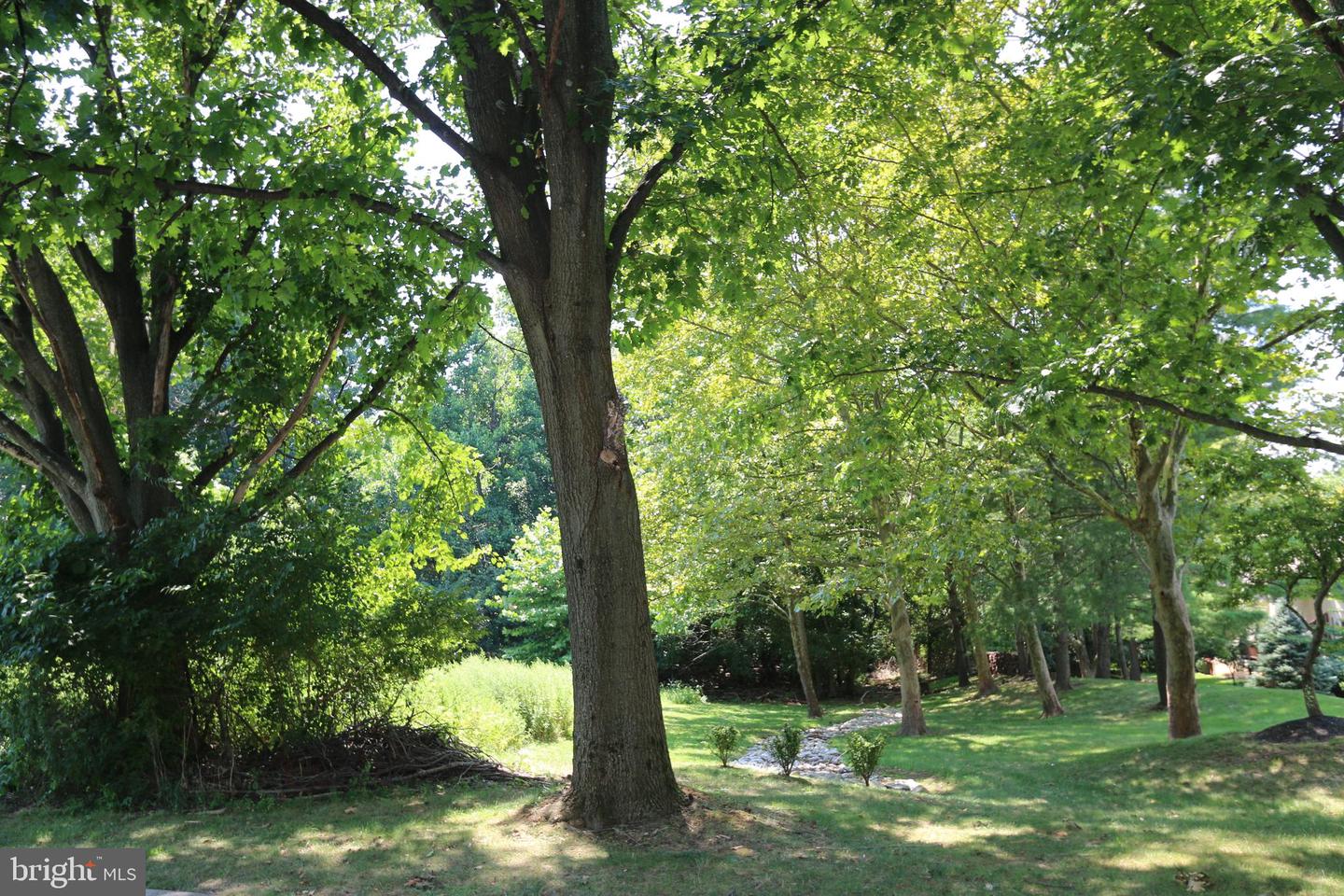 1709 Mountainview Dr Property Photo 52