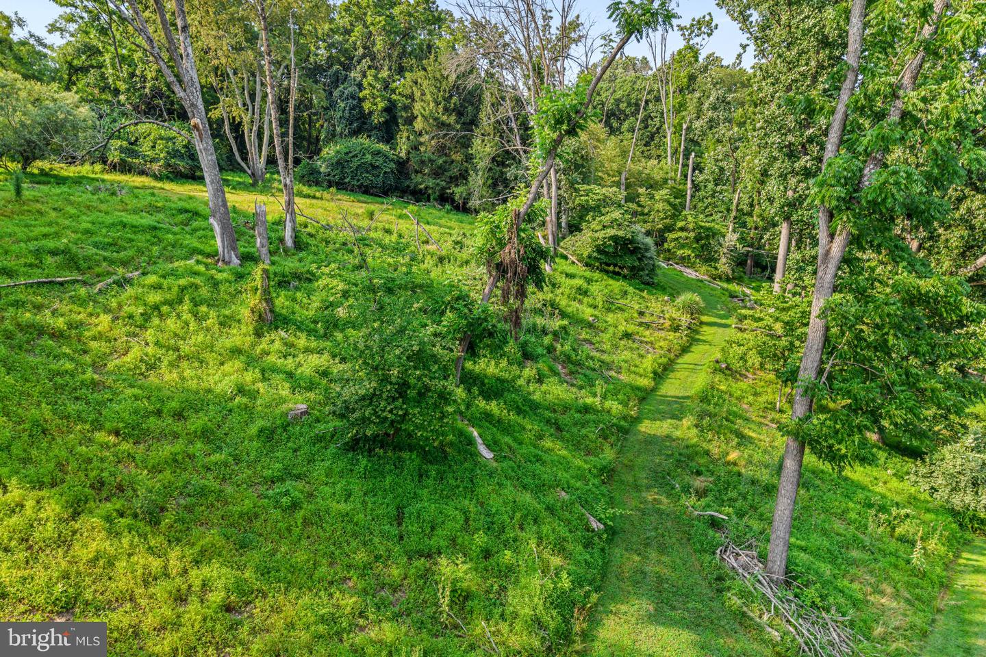 4113 & 4105 Hollow Rd Property Photo 84