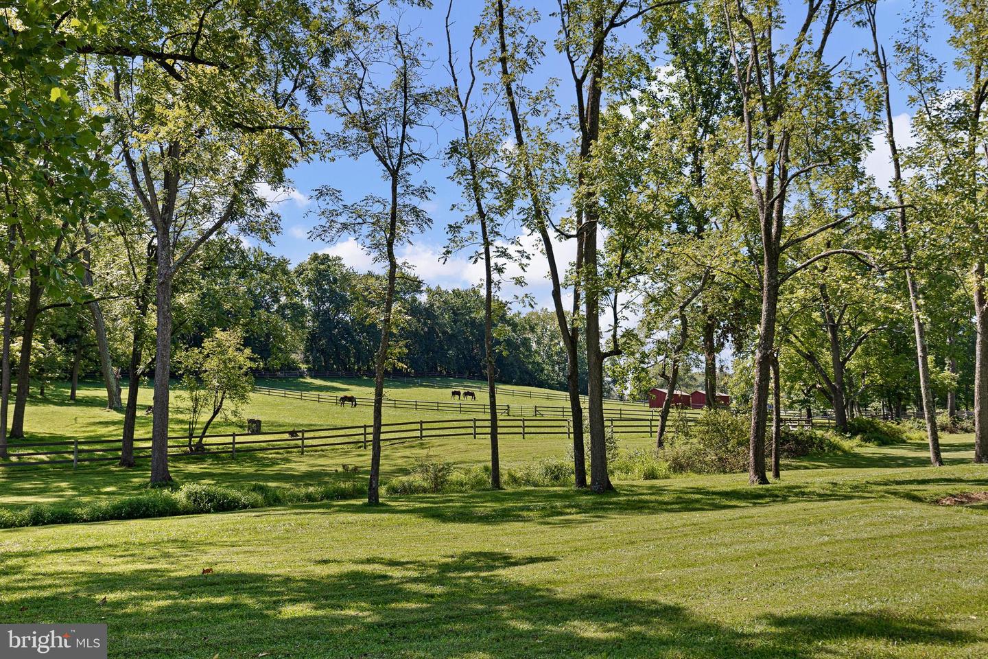 1800 Art School Rd Property Photo 87