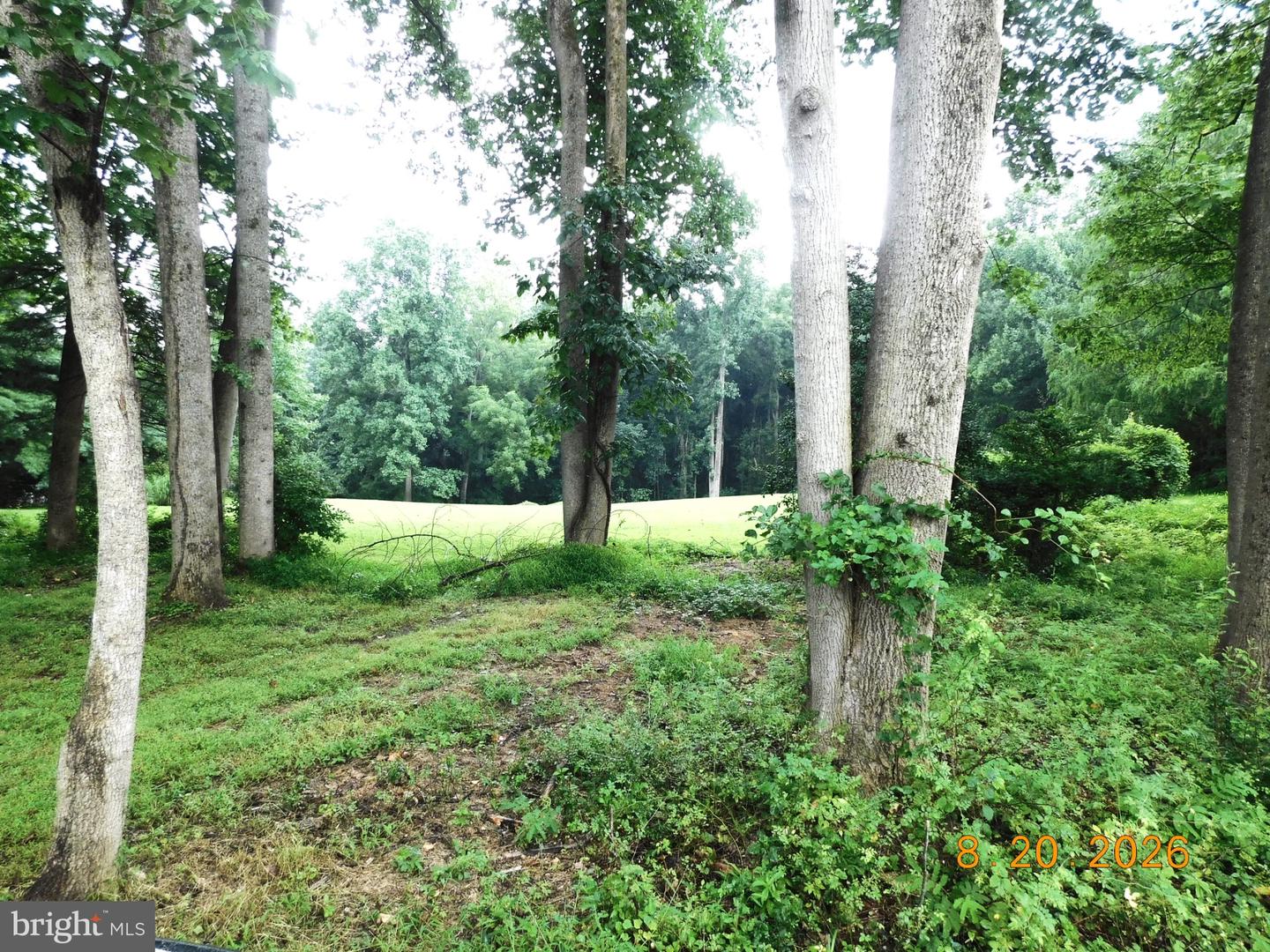 530 CLARKS LN Property Photo 1