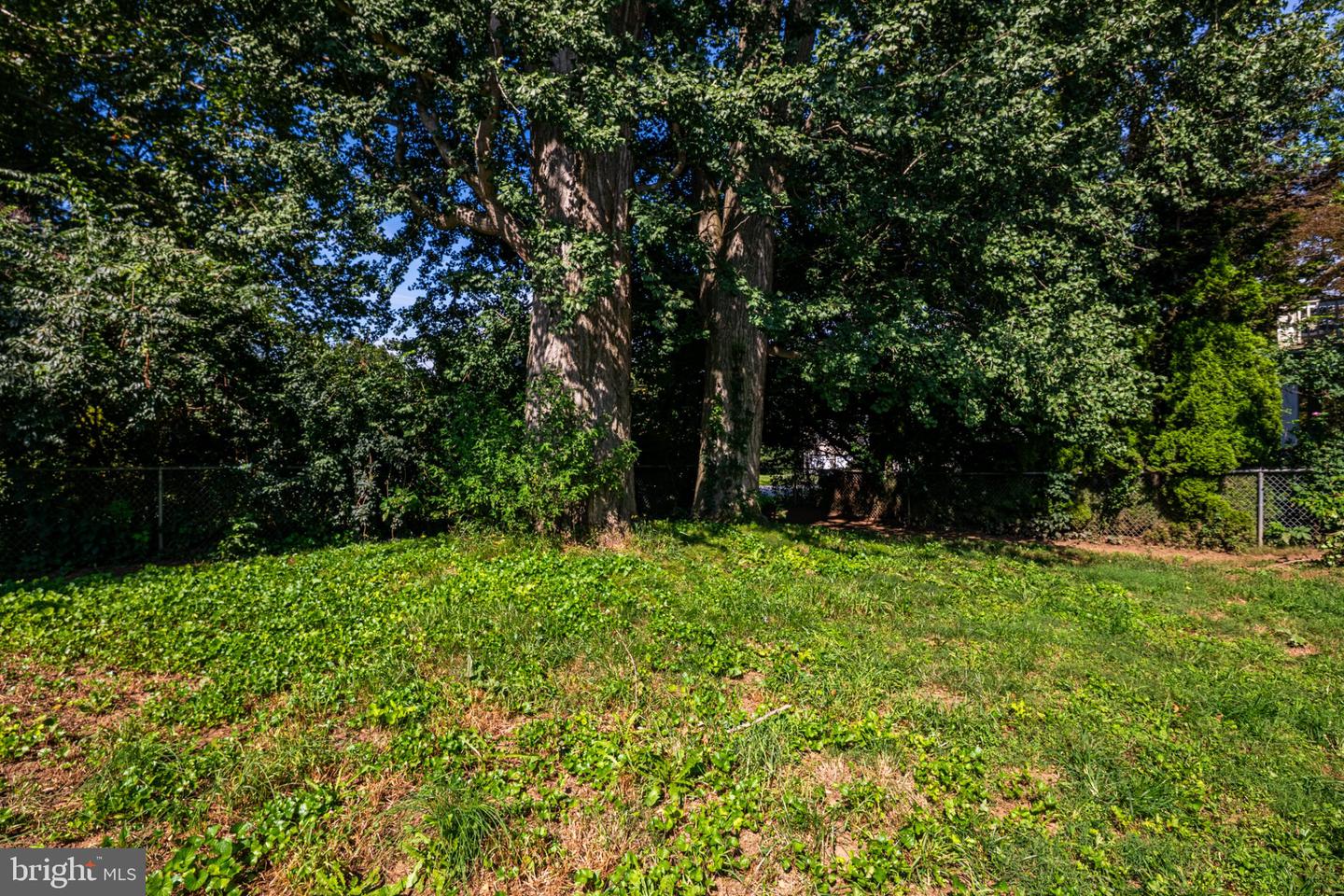 708 Ridge Ave Property Photo 23