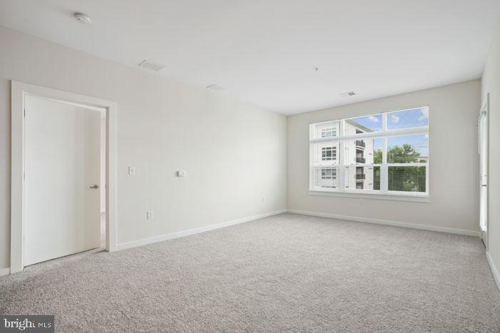 131 Bridge St #1306 Property Photo 94