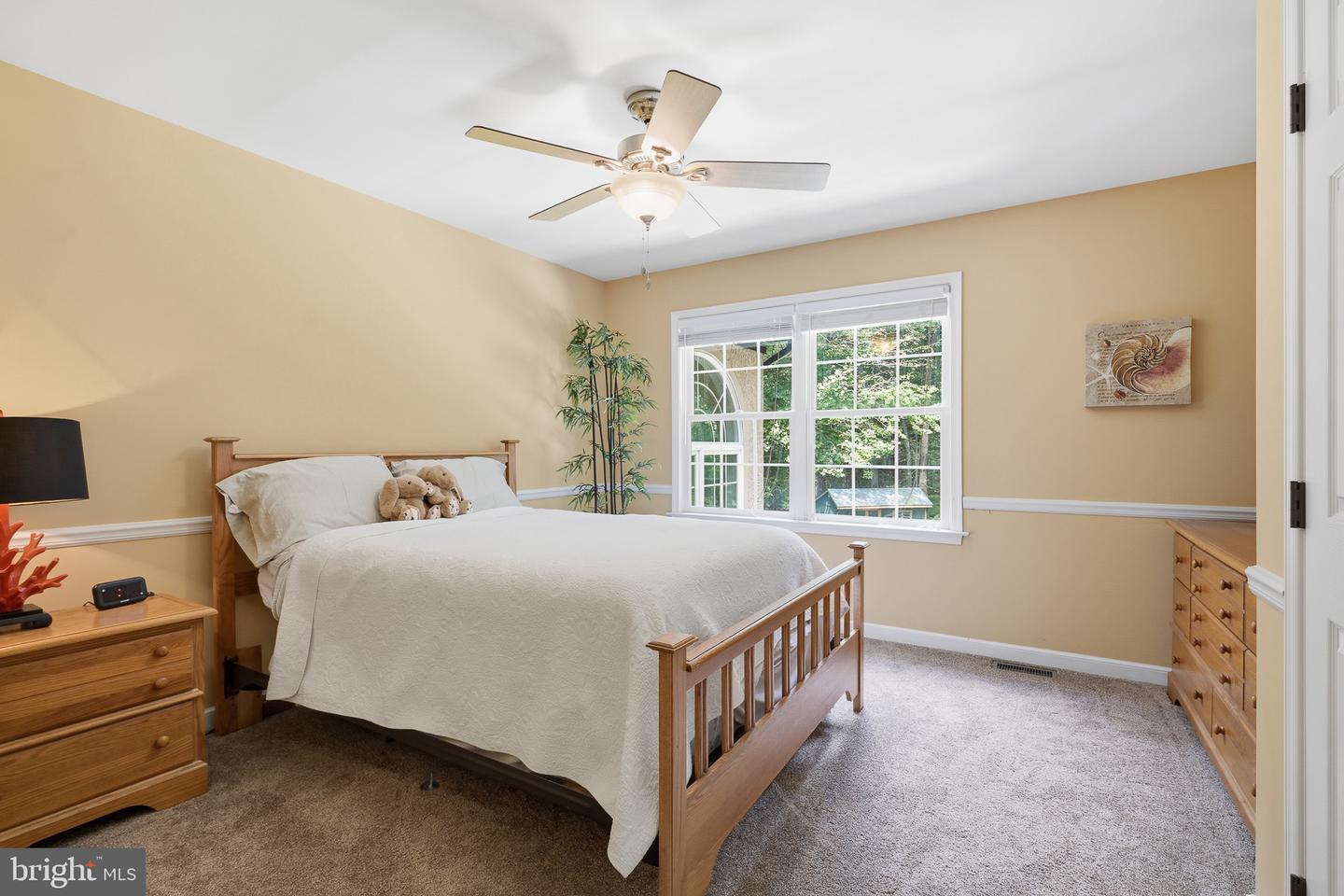 101 Pyles Mountain Ln Property Photo 30