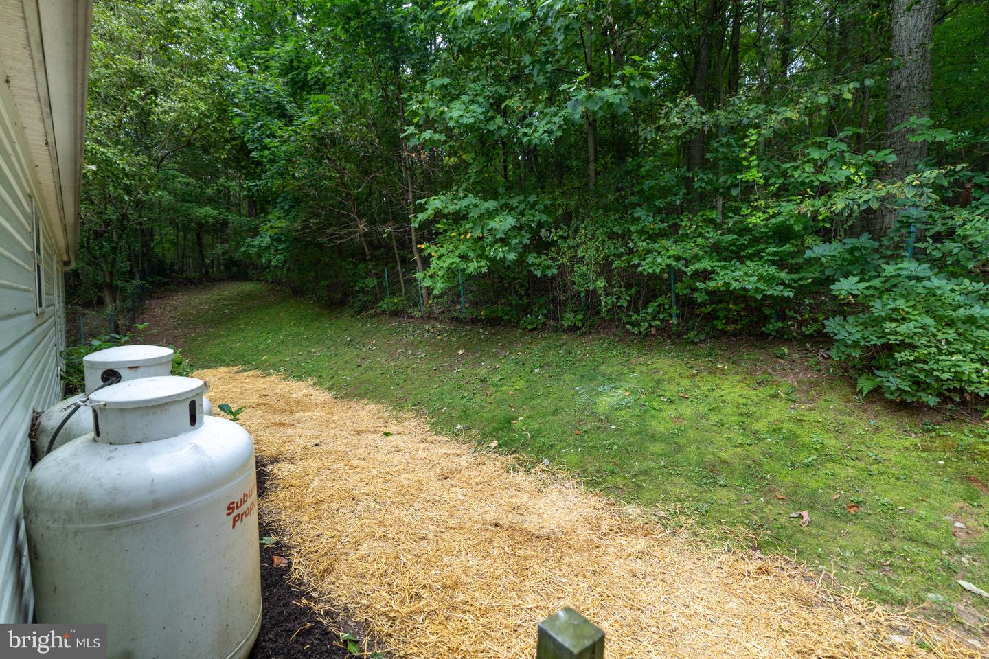 101 Ridge Ave Property Photo 20