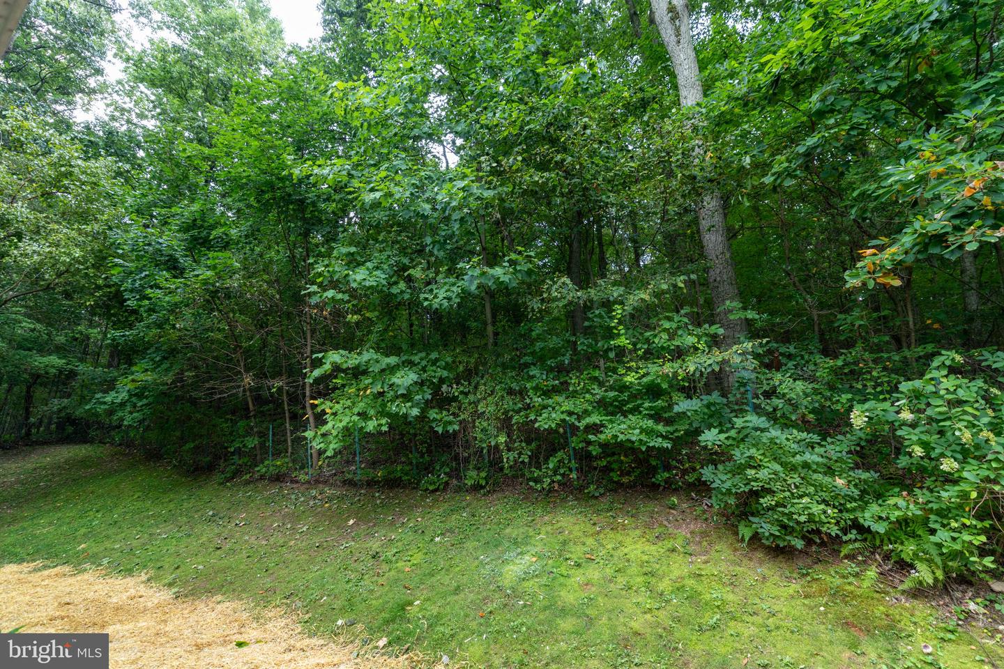 101 Ridge Ave Property Photo 21