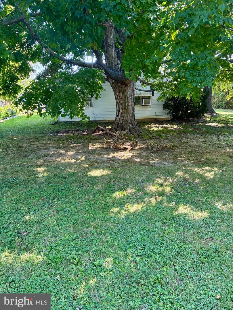 4040 Horseshoe Pike Property Photo 21